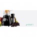 Liquidificador Cadence Evolution com Filtro LIQ347 127V Preto
